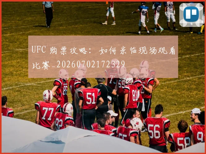 UFC 购票攻略:如何亲临现场观看比赛_20260702172329