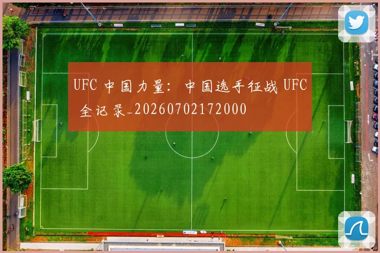 UFC 中国力量：中国选手征战 UFC 全记录_20260702172000