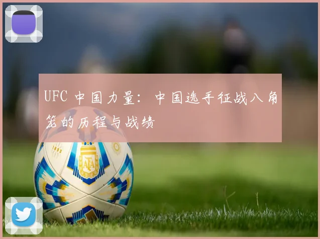 UFC 中国力量：中国选手征战八角笼的历程与战绩