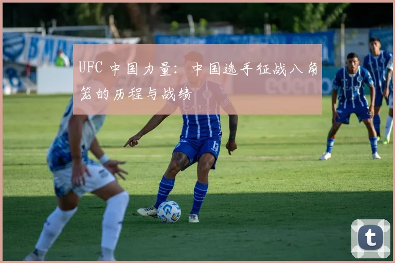 UFC 中国力量:中国选手征战八角笼的历程与战绩